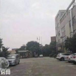 中山独门独院13000平方米厂房出售